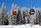 Two cable car cabins and snow-covered spruce trees in the ski re