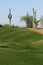 Two Cactus On A Golf Course