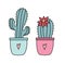 Two cactus isolated on white background. Vector illustration.