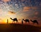 Two cameleers (camel drivers) with camels in dunes of Thar deser