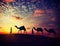 Two cameleers with camels in dunes of Thar deser