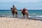 Two camels on the shores of the Red Sea in Sinai