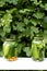 Two canned jars with cucumbers, garlic and carrots are on the table outside