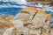 Two Cape hyraxes warming up on the rock in the Tsitsikamma National Park in South Africa