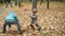 Two carefree joyful Caucasian boys running on autumn meadow in park and tossing leaves. Cheerful relaxed children having