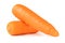 two carrot isolate on white background