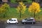 Two cars with autumn trees on the street and yelow leafs