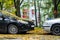 Two Cars Stand Nose to Nose in Fallen Leaves