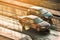 Two cars traffic on motorway with sunrise light, aerial front side view