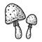Two cartoon amanita isolated on a white background in doodle style