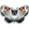 Two cats on butterfly design