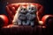 Two cats cuddle on a sofa, holding a heart