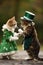 Two cats dressed in green and a white hat are standing next to each other, AI