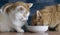 Two cats eating dinner out of a shared bowl.