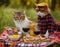 Two cats enjoying picnic trip in the green land