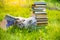 Two cats on the grass near the stack of books