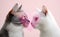 Two cats loving each other on a pink background