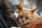 Two cats snuggling together. Two adorable kittens sleeping together close up. Generative AI