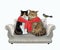 Two cats tied with red scarf on sofa