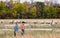 Two caucasian farm cowboys walking along side the fence with sheep on the other side