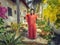 Two caucasian women perform Nataraja dance in blooming garden