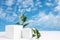 Two cement cubic podiums and green leaves of ruscus against a blue sky with white clouds. Mockup for the demonstration