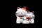 two ceramic lucky cats for decoration isolated on black