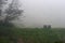 TWO CHAIRS ON A RIDGE OVERLOOKING A GREEN LANDSCAPE IN A MISTY LANDSCAPE