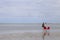 Two chairs and an umbrella on the sand on a deserted beach, with beige sand and blue mountain background. Cloudy sky in low light.