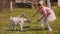 Two charming twin sisters feed grass to two small goats on a farm on a Sunny day