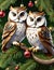 Two charming and wise owls perched on a christmas tree branchrs with the ornaments, animal design