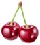 Two cherries. Clipping path