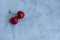 Two cherries on a gray background. Creative composition of love and unity