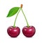 Two Cherries with green leaf. Fresh, juicy, ripe fruit.