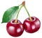 Two cherries with leaf. File contains clipping path.