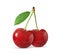 Two cherries with leaf isolated on white background. Clipping path