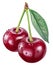 Two cherries with leaf and water drops. File contains clipping paths