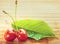 Two cherries placed near green leaf on bamboo tablecloth