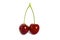 Two cherries on stalk