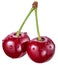 Two cherries with water drops. File contains clipping path