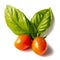 Two cherry tomatoes on with a basil leafs on a white  background