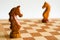 Two chess horses