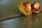 Two chestnuts with shell on a park bench in autumn.Horizontal.