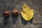Two chestnuts and yellow leaf