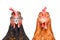 Two chickens isolated on white background