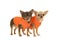 Two chihuahua dogs standing in orange coats