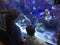 Two children admiring colorful exotic fish in aquarium