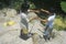 Two children baiting hooks and fishing, Malibu, CA