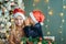 Two children boy and girl in santa hats sit together in decorated room with Christmas tree. Boy whisper something in the
