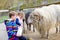 Two children cute toddler girl and school kid boy feeding little goats and sheeps on a kids farm. Happy healthy siblings